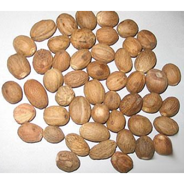 Nutmeg...